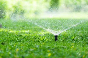 Illustration for article titled Sprinkler Winterization